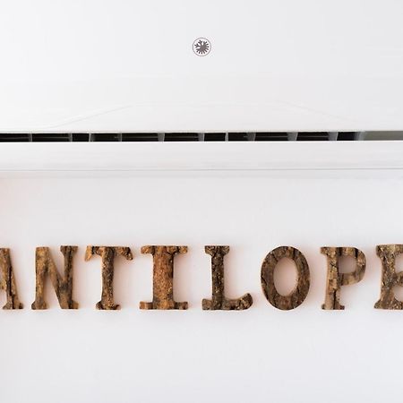 Antilope Daire Algarrobo Costa Dış mekan fotoğraf