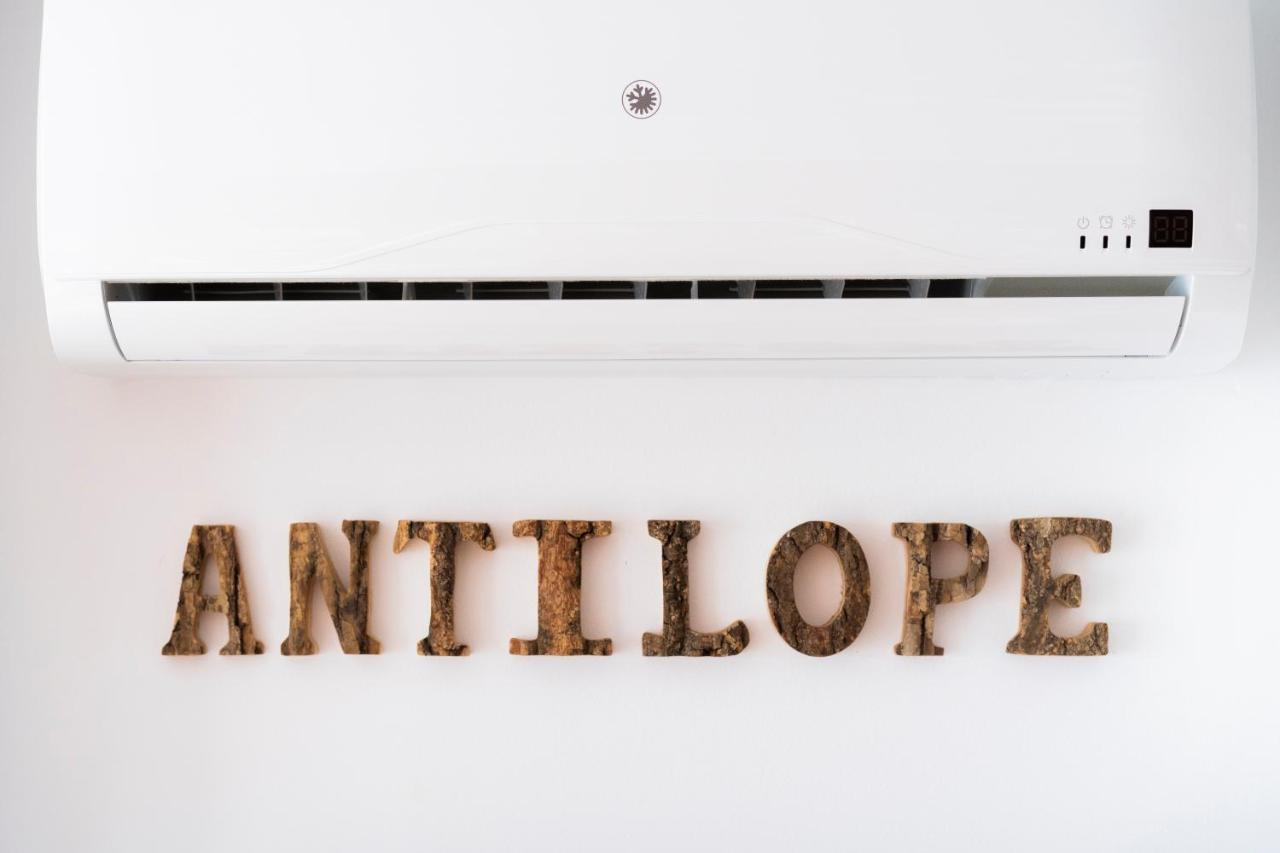 Antilope Daire Algarrobo Costa Dış mekan fotoğraf